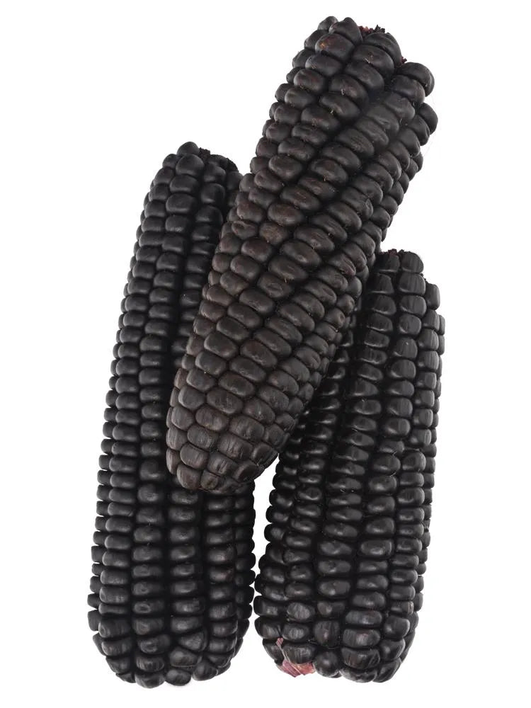 America Maiz Morada 500g