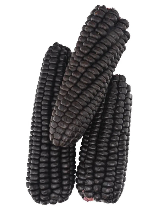 America Maiz Morada 500g